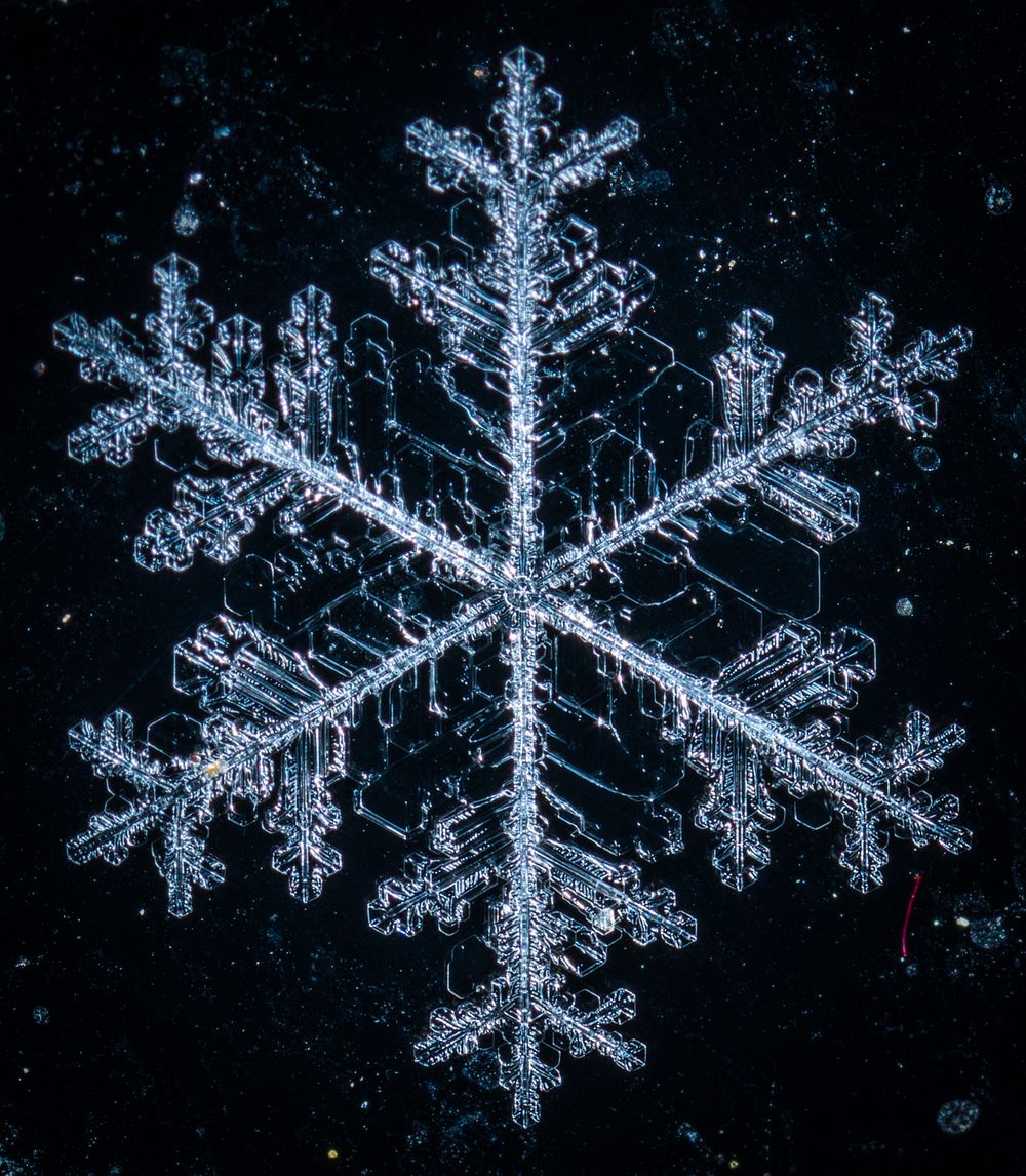 Free snowflake image, public domain winter CC0 photo.