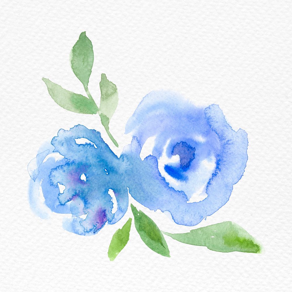 Blue rose flower watercolor psd spring seasonal graphic