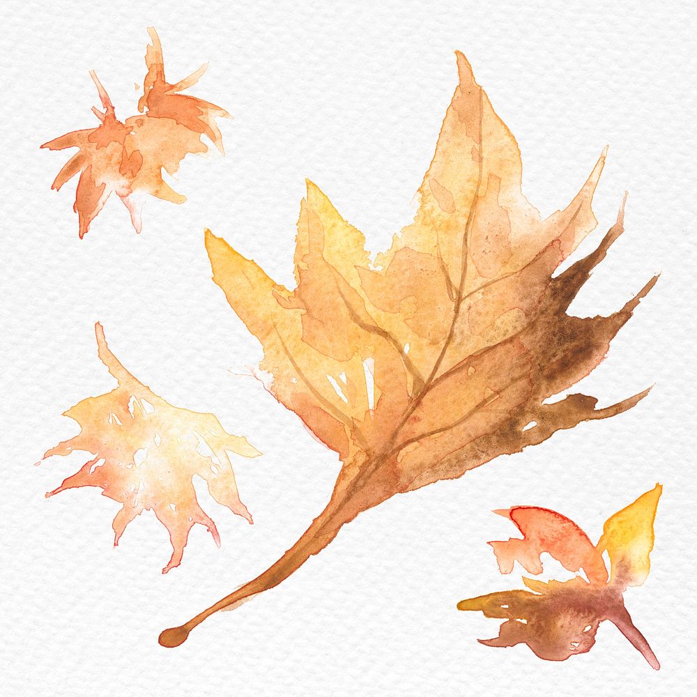 Maple leaf autumn watercolor psd in orange seasonal graphic