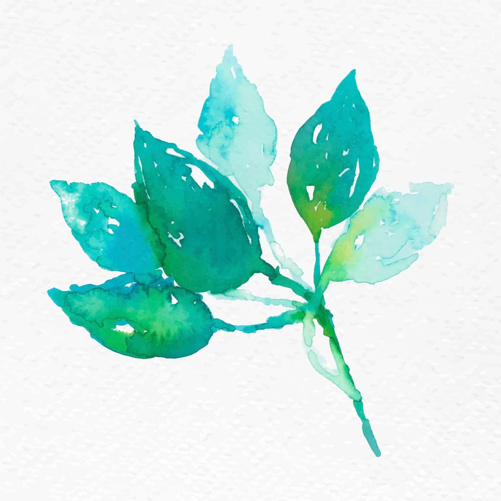 Watercolor leaf green floral vector spring seasonal graphic