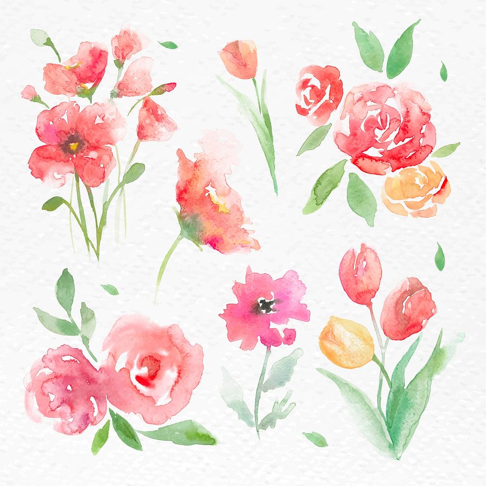 Season flowers set watercolor vector pink seasonal graphic