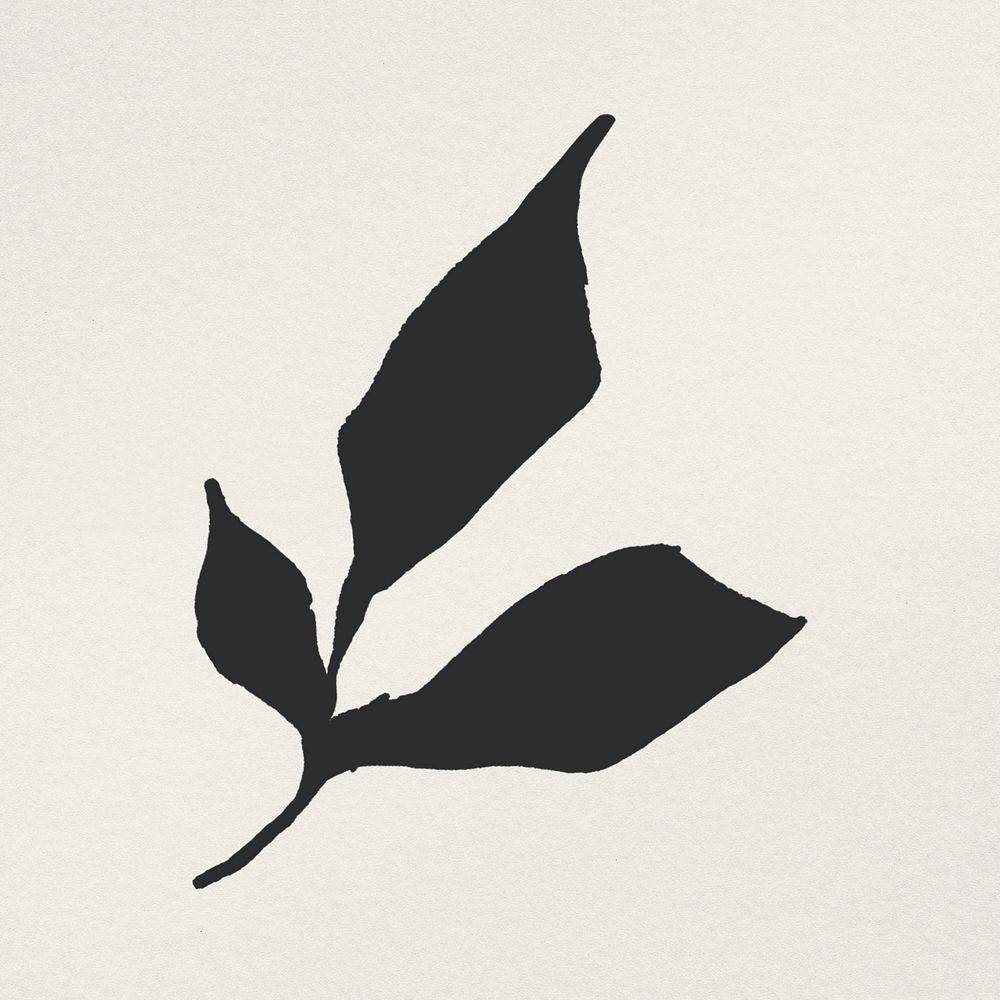 Leaf hand drawn illustration psd, remixed from vintage public domain images