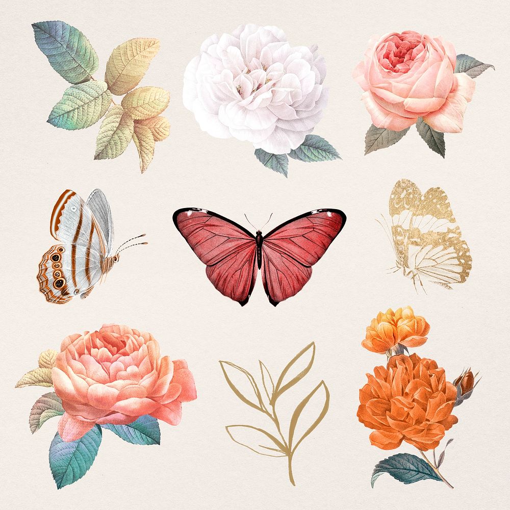 Flower & leaf illustration psd set, remixed from vintage public domain images