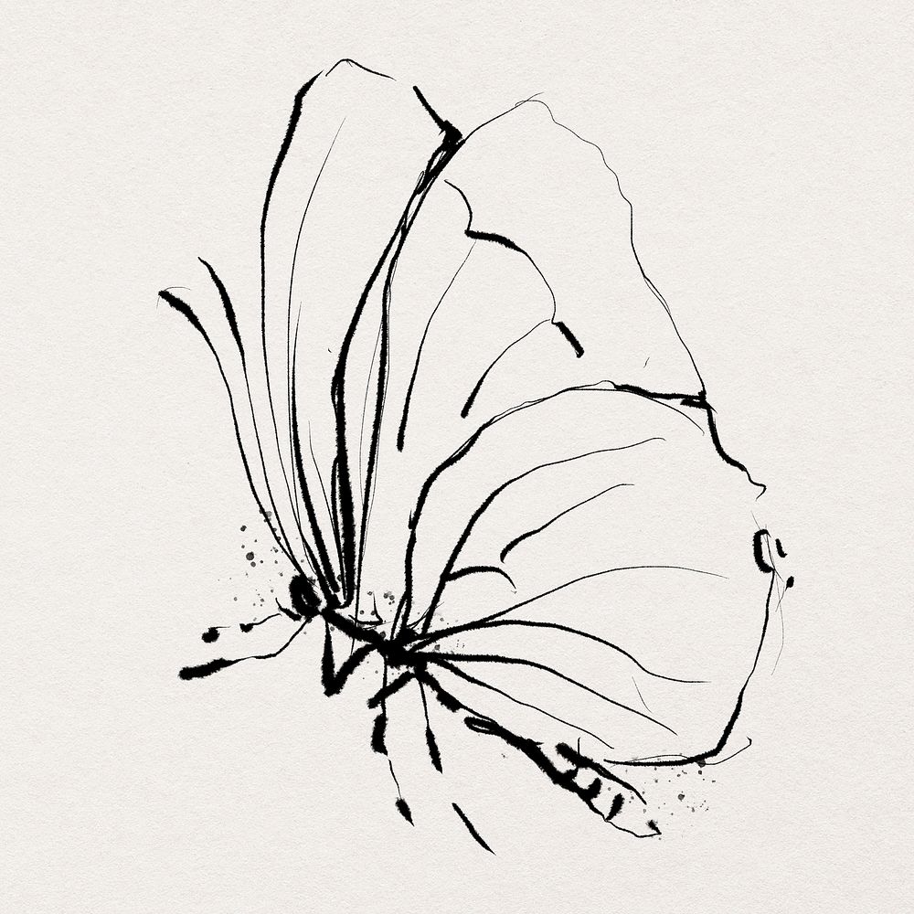 Butterfly hand drawn illustration psd, remixed from vintage public domain images