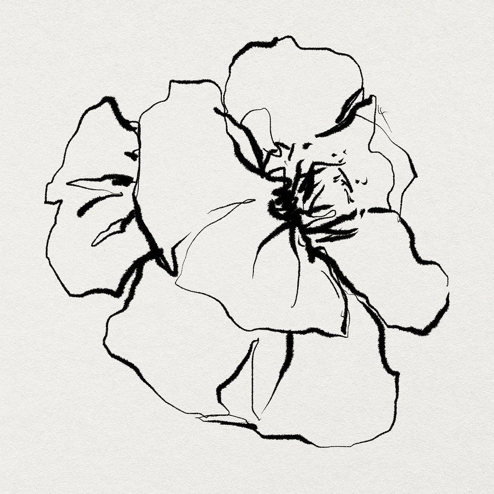 Flower hand drawn illustration psd, remixed from vintage public domain images