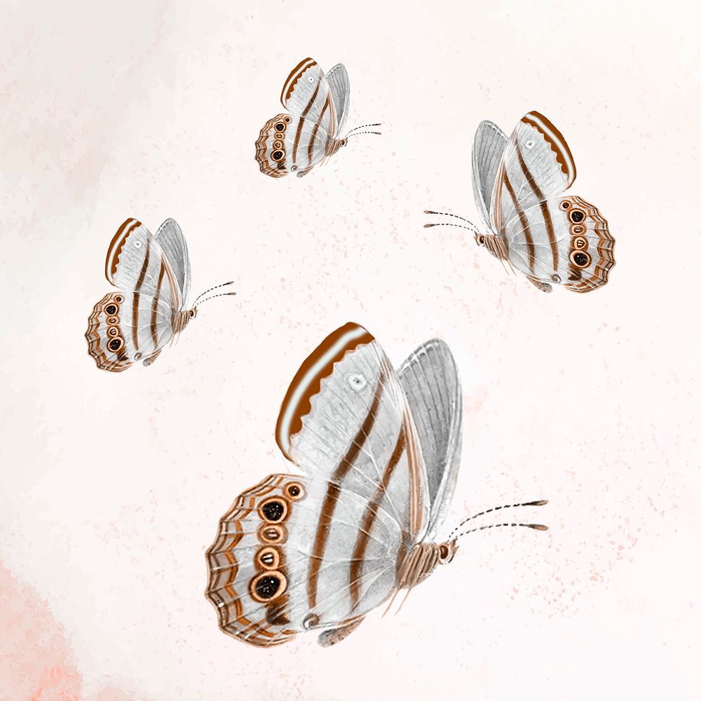 Aesthetic butterflies, vector design, remixed from public domain images