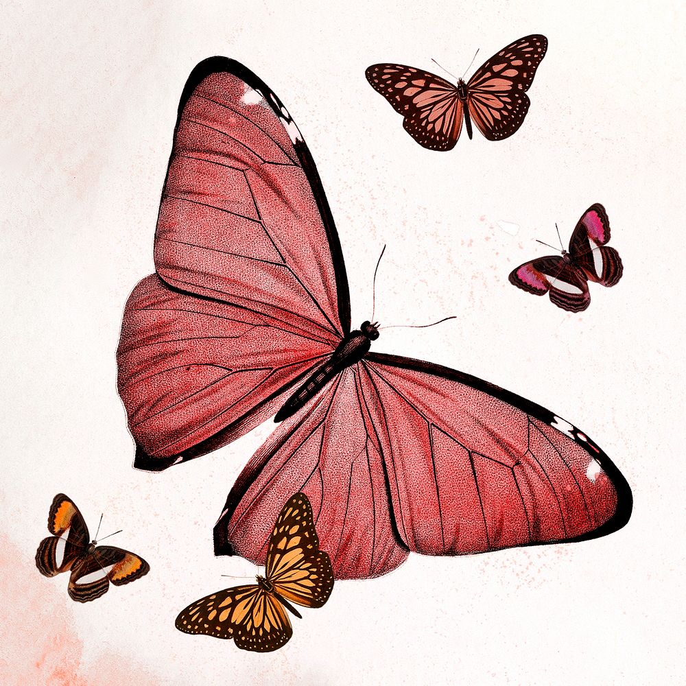 Butterfly red illustration psd, remixed from vintage public domain images