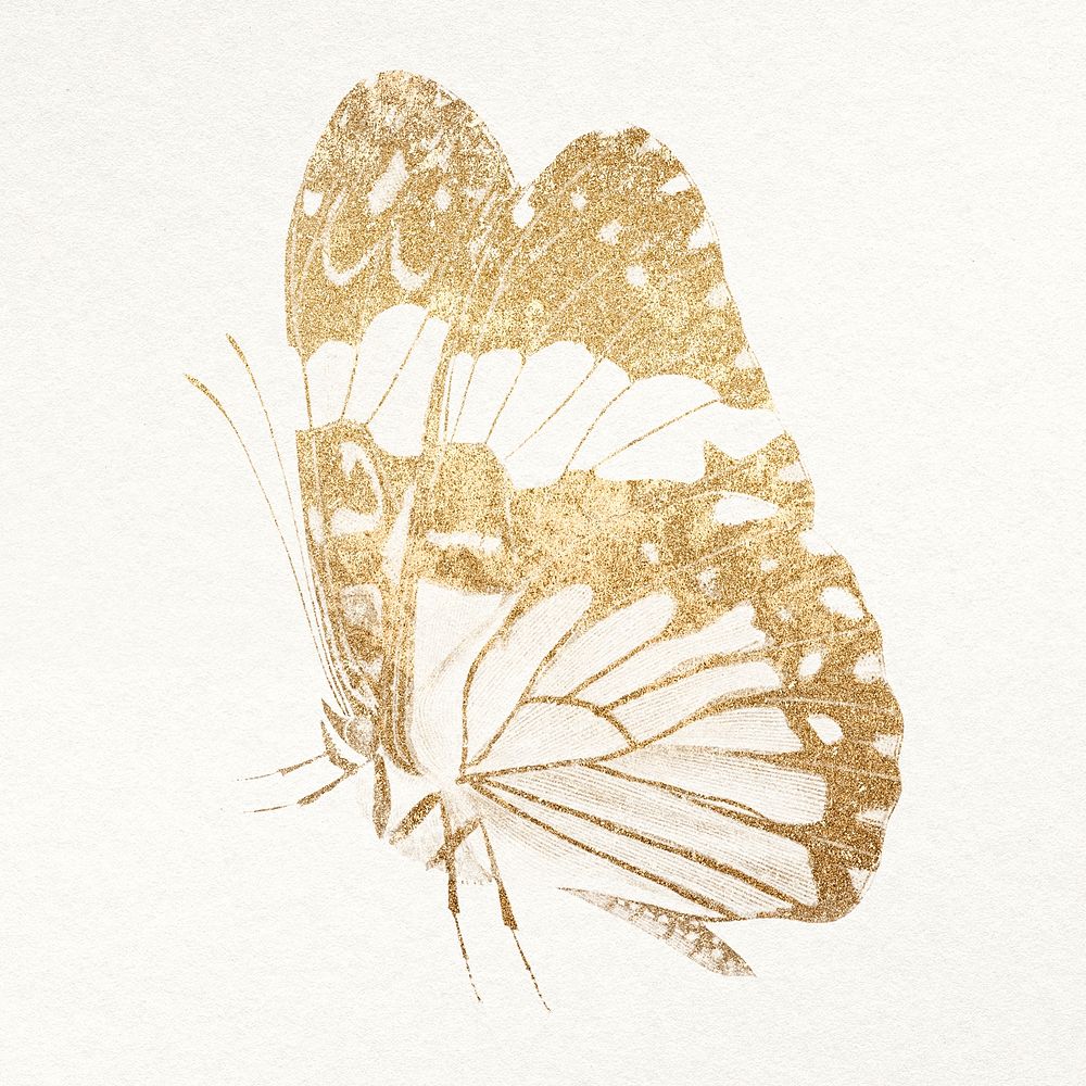 Butterfly gold design element psd, remixed from vintage public domain images