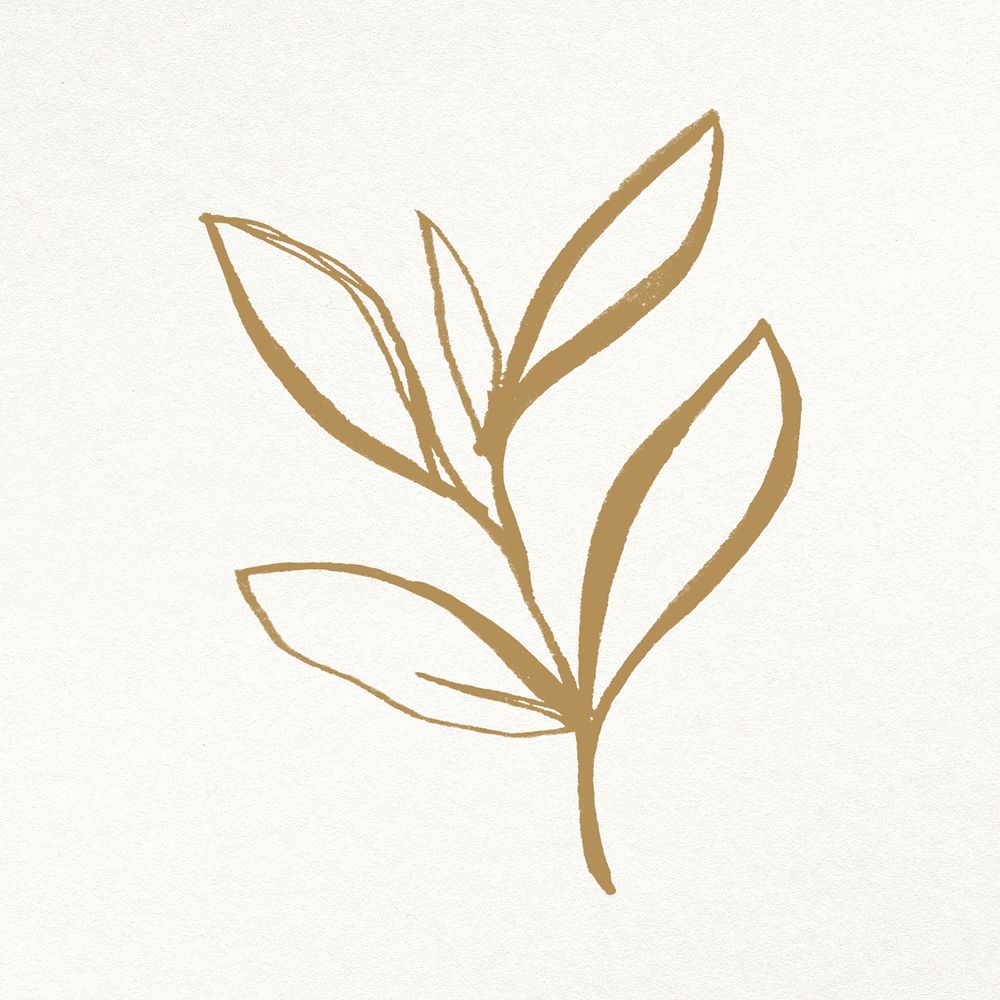 Leaf hand drawn illustration psd, remixed from vintage public domain images