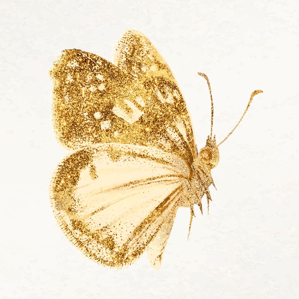Gold butterfly aesthetic design vector, remixed from vintage public domain images