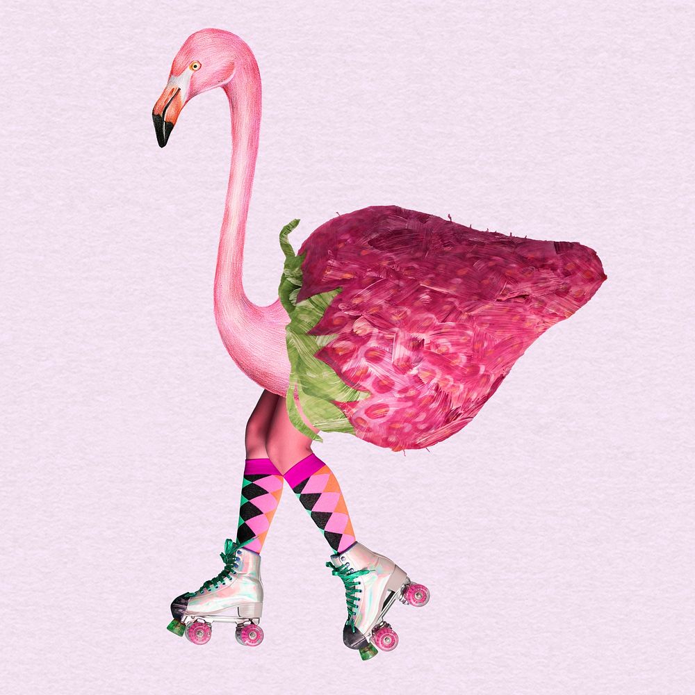 Collage flamingo strawberry skate retro collage, printable collage mixed media art