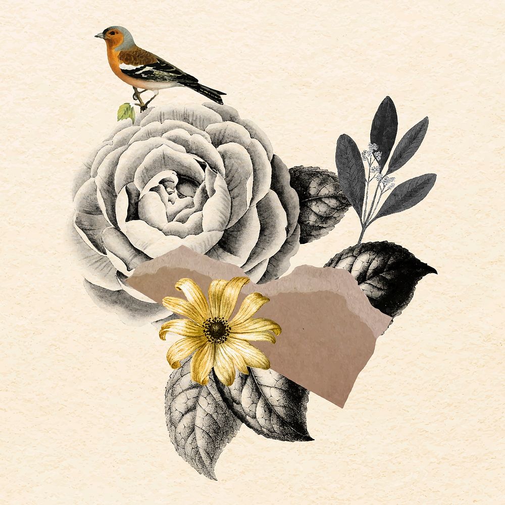 Collage vintage flower illustration vector, mixed media art