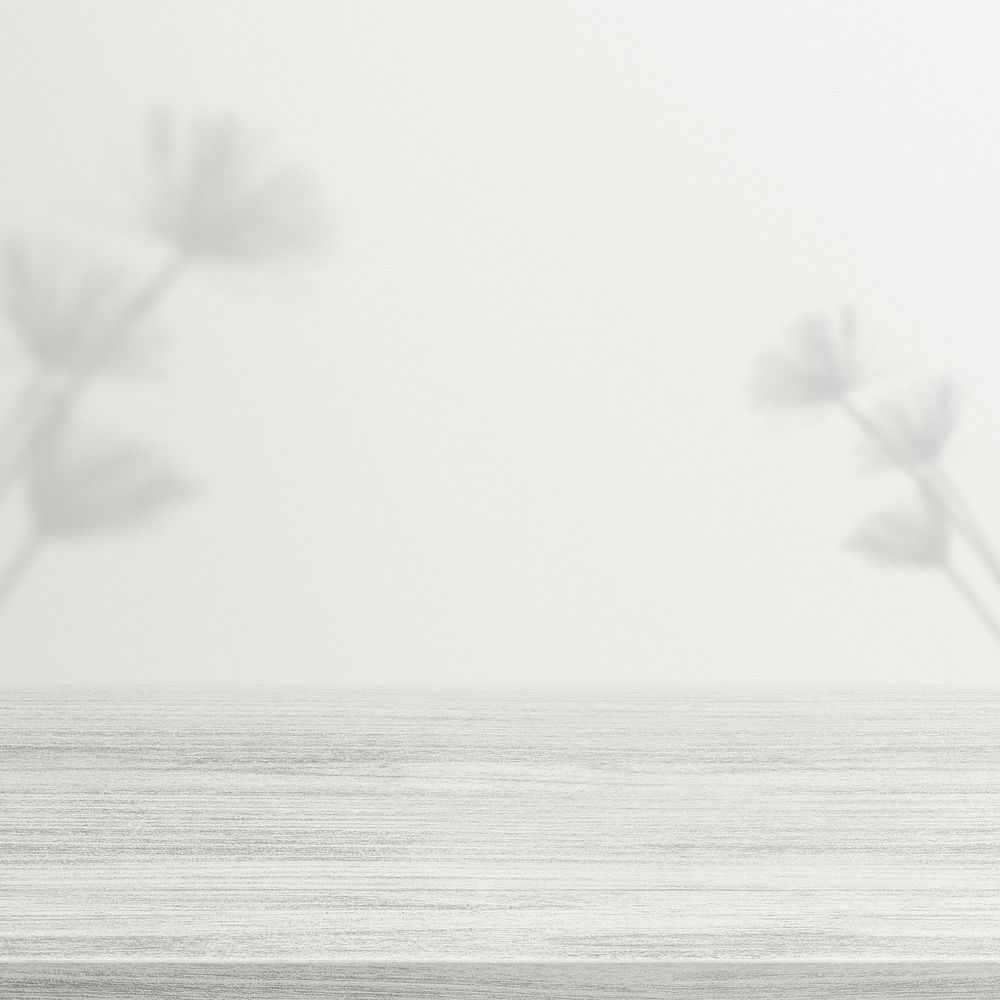 Background mockup psd, plant shadow on white wall