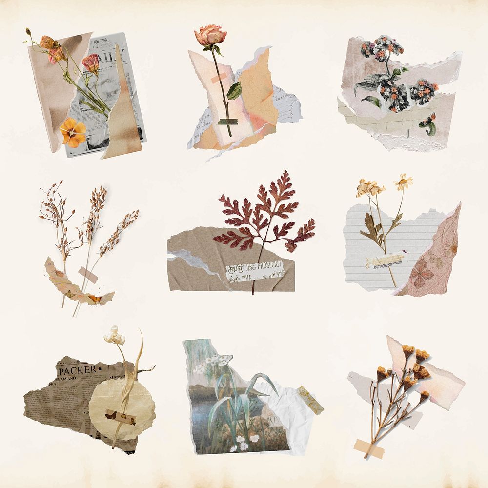 Aesthetic journal sticker, dried flower and ripped paper collage art set vector