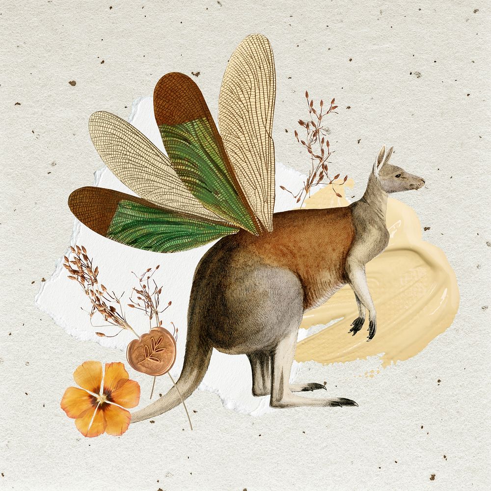 Kangaroo illustration, animal collage scrapbook sticker, mixed media artwork psd
