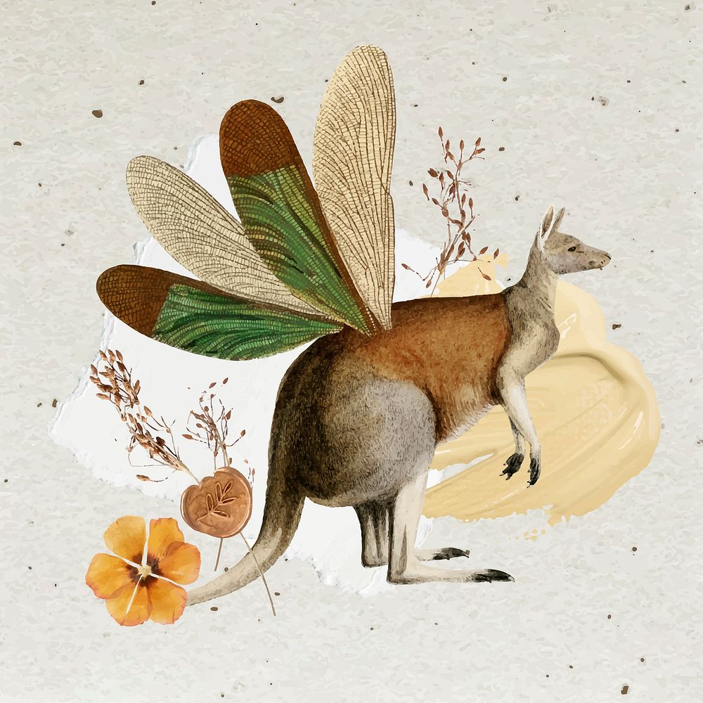 Kangaroo illustration, animal collage scrapbook mixed media artwork vector