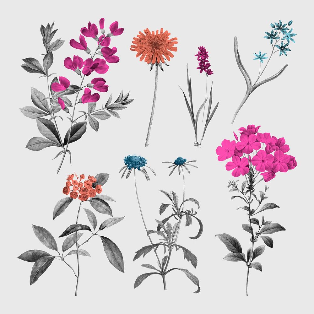 Vintage flowers stickers, retro botanical design set psd, remixed from original artworks by Pierre Joseph Redout&eacute;