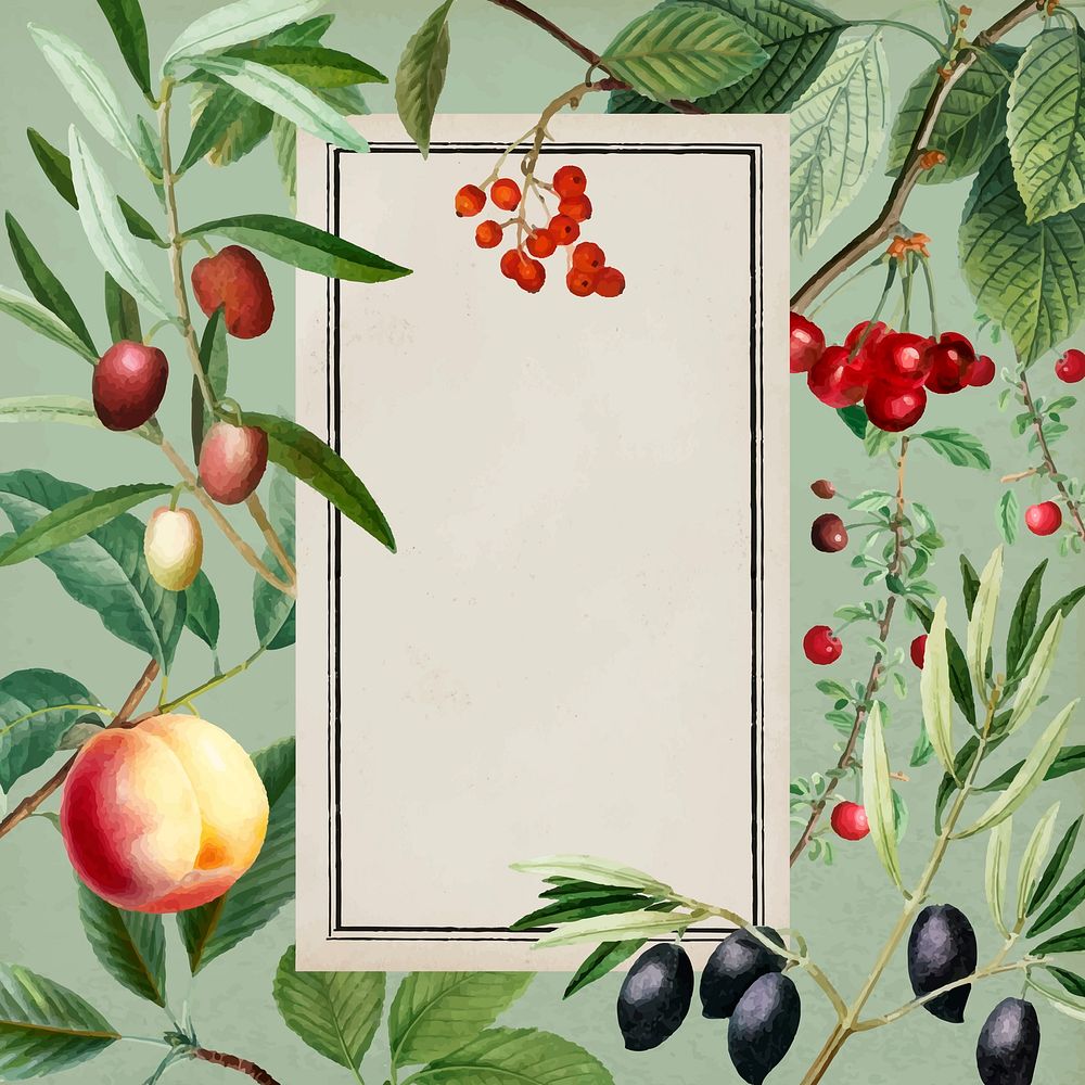 Botanical frame background, Mediterranean fruit design vector, remixed from original artworks by Pierre Joseph Redout&eacute;