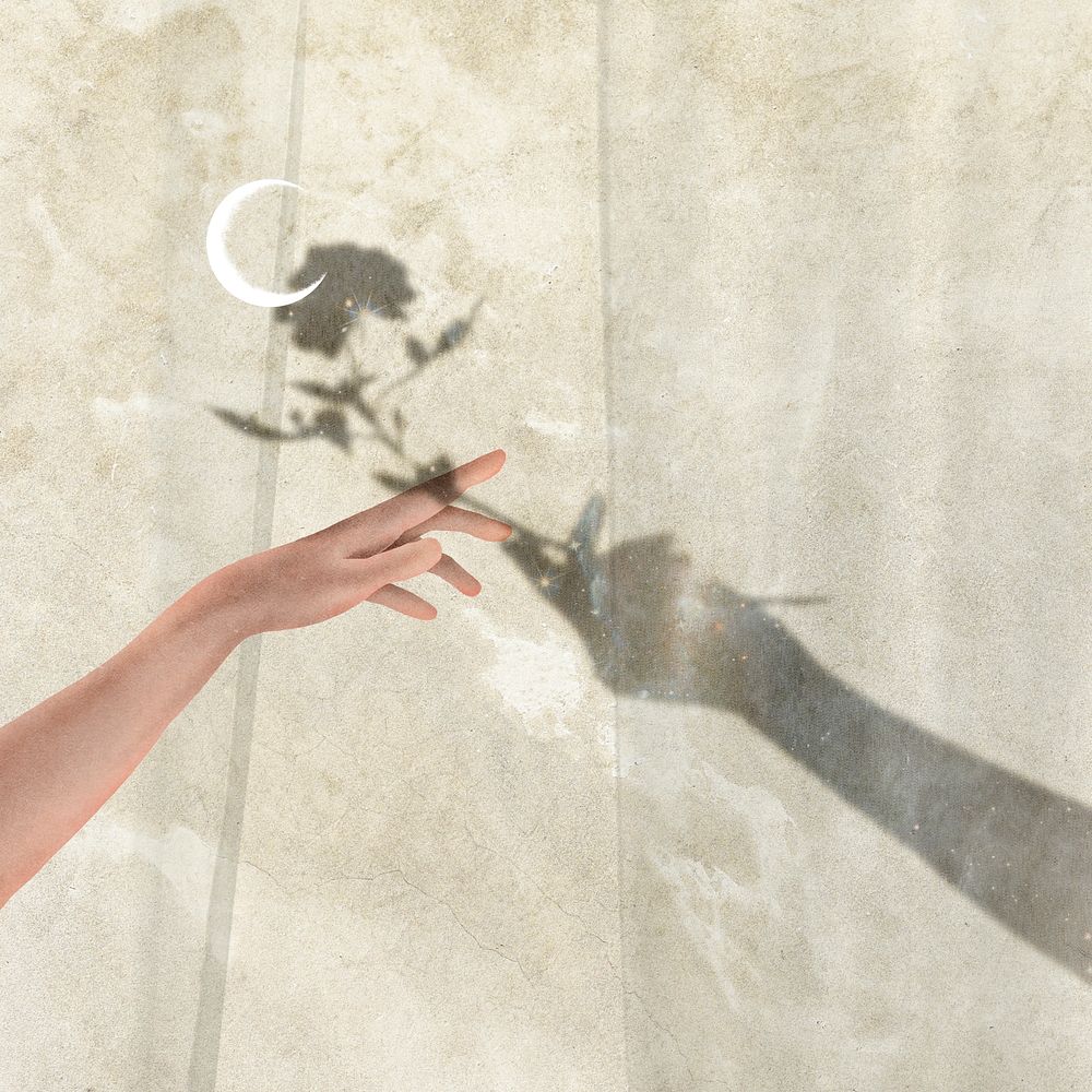 Aesthetic hand shadow illustration, feminine style psd