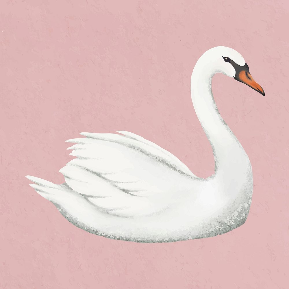 Mute swan sticker, simple illustration vector