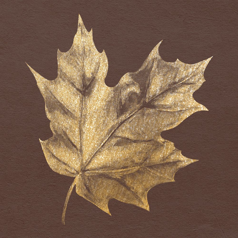 Autumn leaf sticker, gold botanical painting design psd