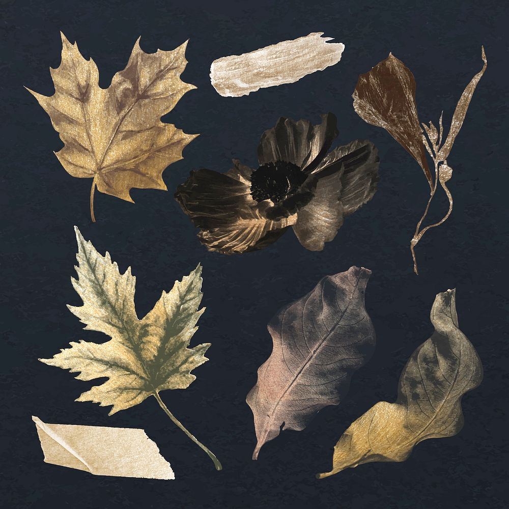 Autumn leaf stickers, gold botanical painting design set vector