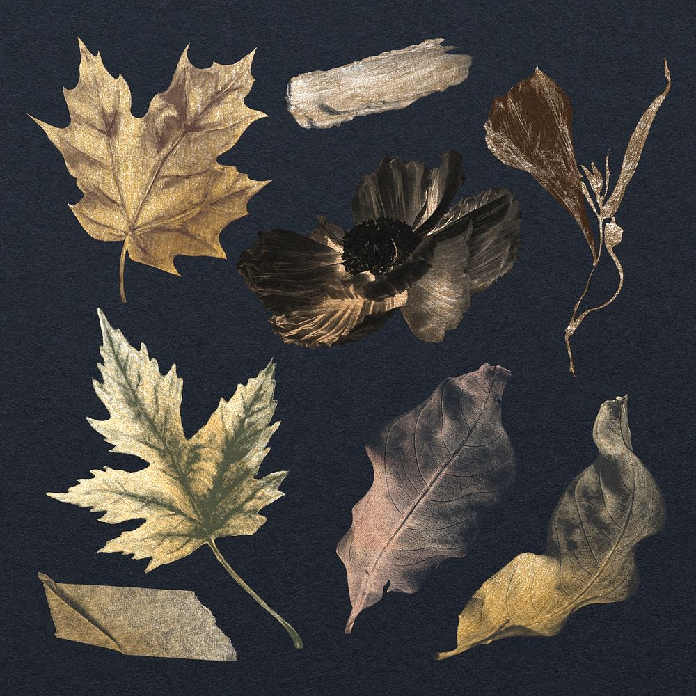 Autumn leaf stickers, gold botanical painting design set psd