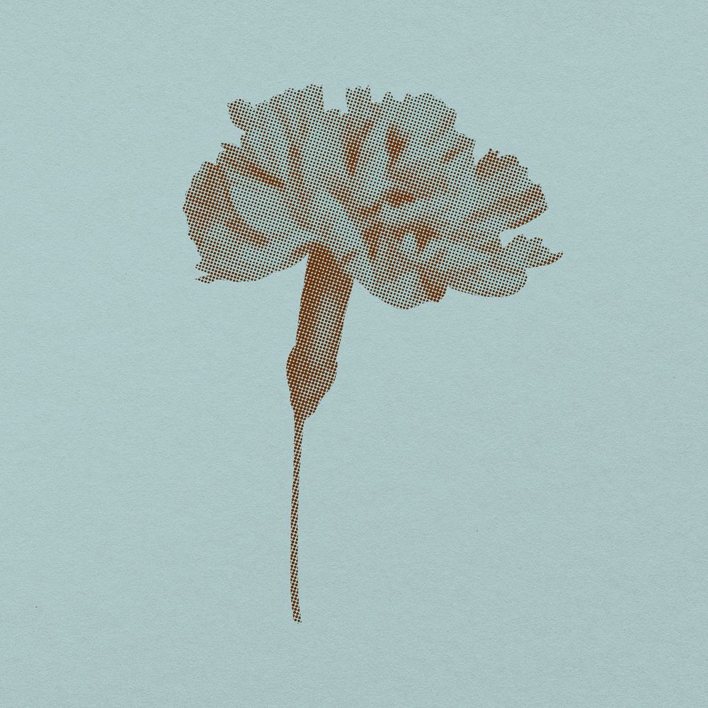 Retro carnation flower element, halftone aesthetic sticker psd