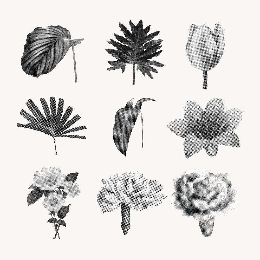 Botanical collage element set, retro halftone black and white sticker pack vector