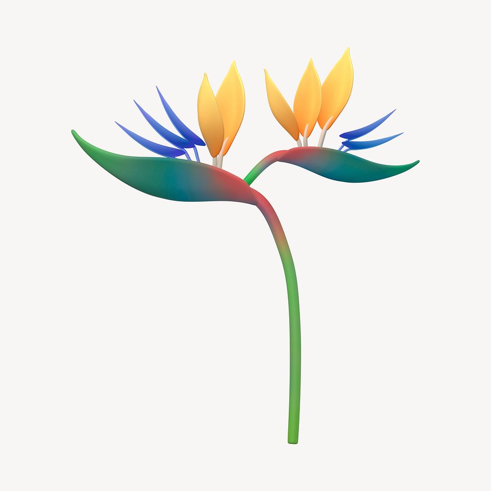 Bird of paradise collage element, 3D botanical design psd