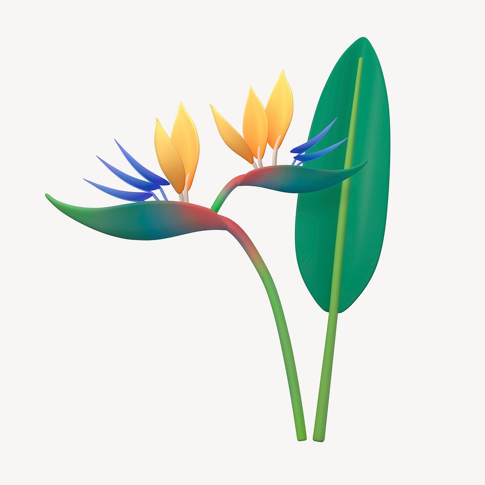 Cartoon bird of paradise clipart, botanical design