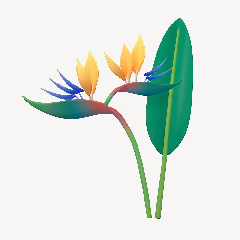 3D bird of paradise collage element, botanical design psd