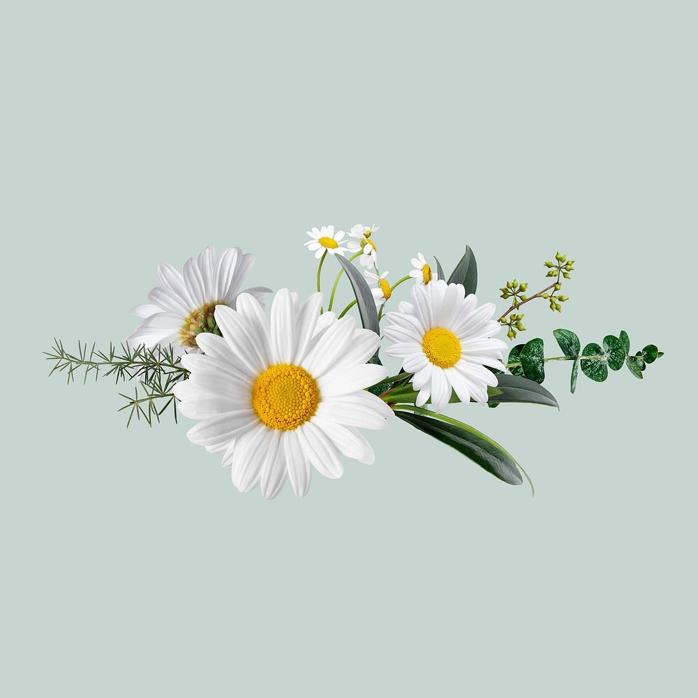 White flowers bouquet collage element, botanical psd design