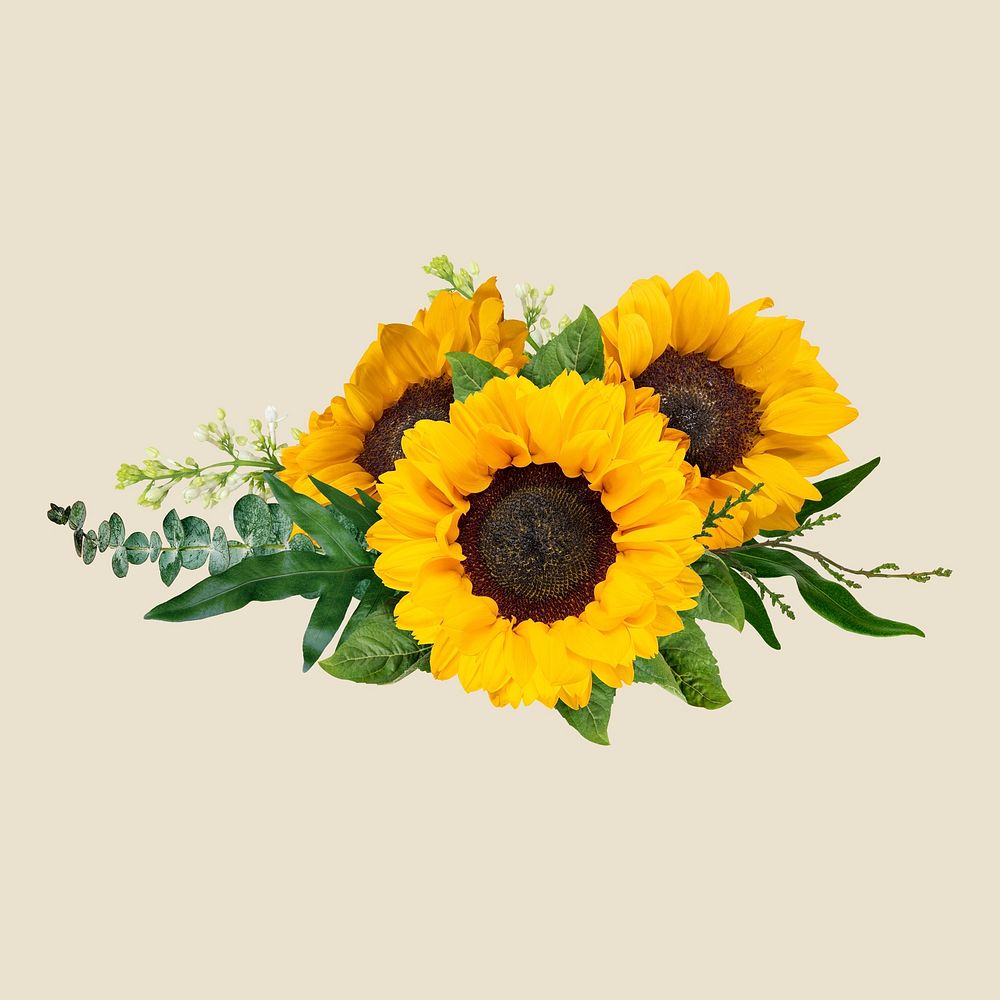 Sunflower bouquet collage element, feminine botanical design 