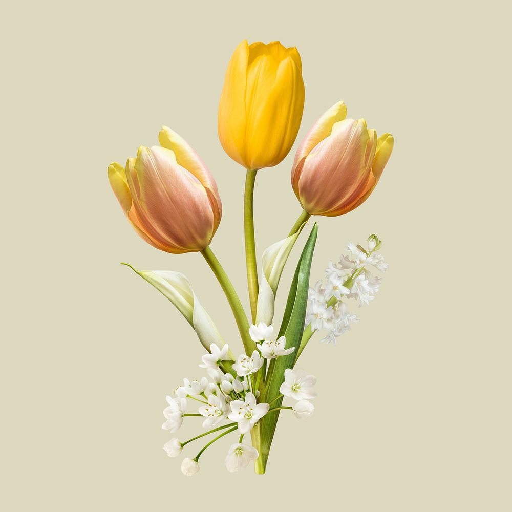 Tulips flower bouquet collage element, feminine botanical design 