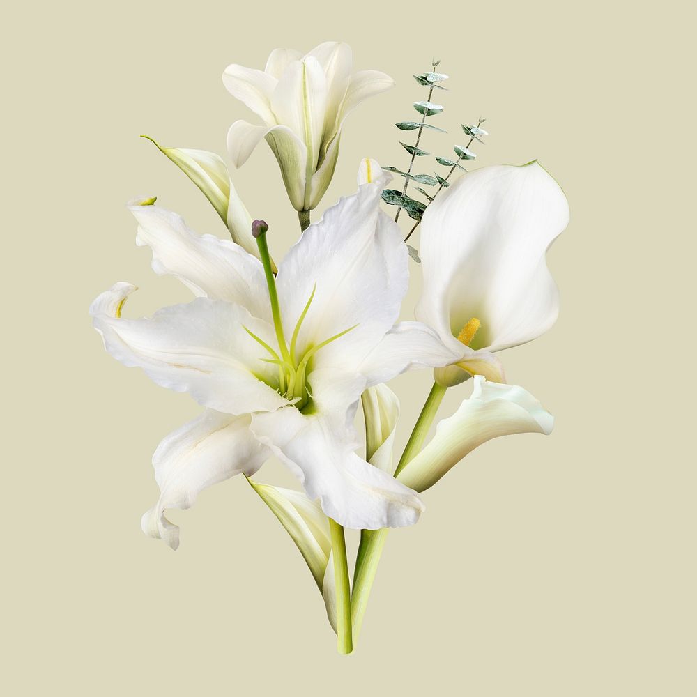 Lilies flower collage element, botanical floral design