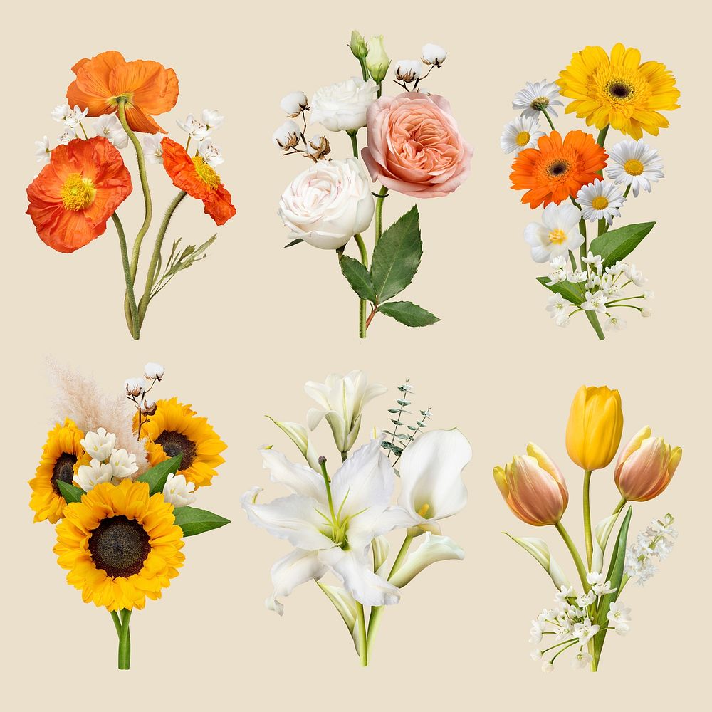 Botanical element stickers, floral design set psd