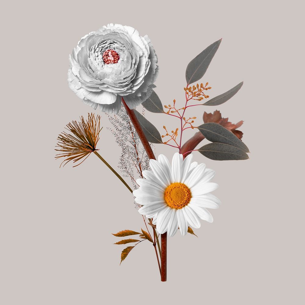 Peony flower bouquet collage element, botanical psd design