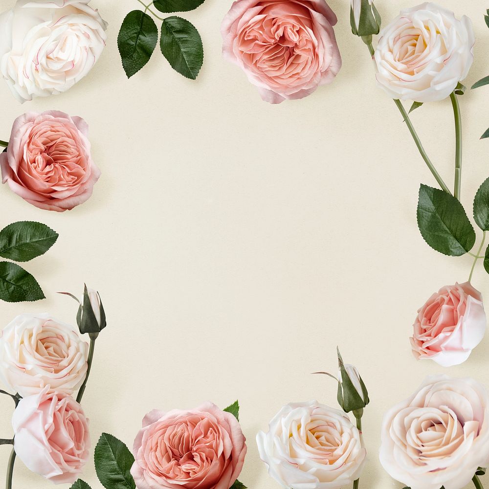 Cute roses flower aesthetic frame background, botanical