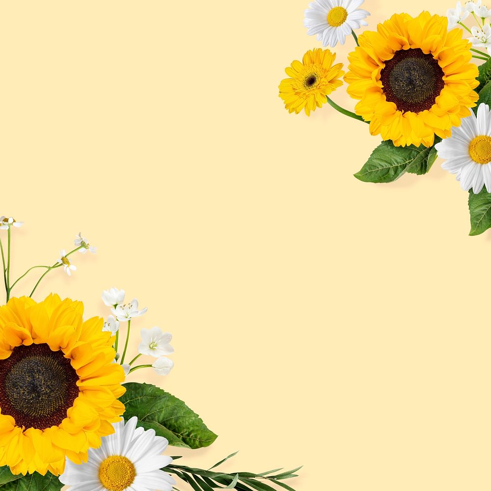Sunflowers flower border frame, floral psd design