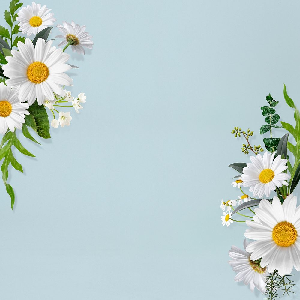White flowers frame background, nature design