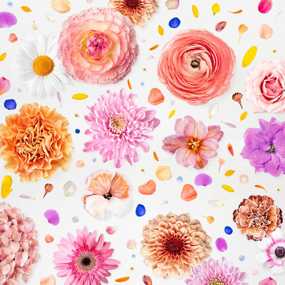 Colorful floral pattern background, flower, botanical 