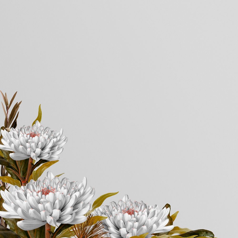 Cute chrysanthemum flower aesthetic border background, botanical
