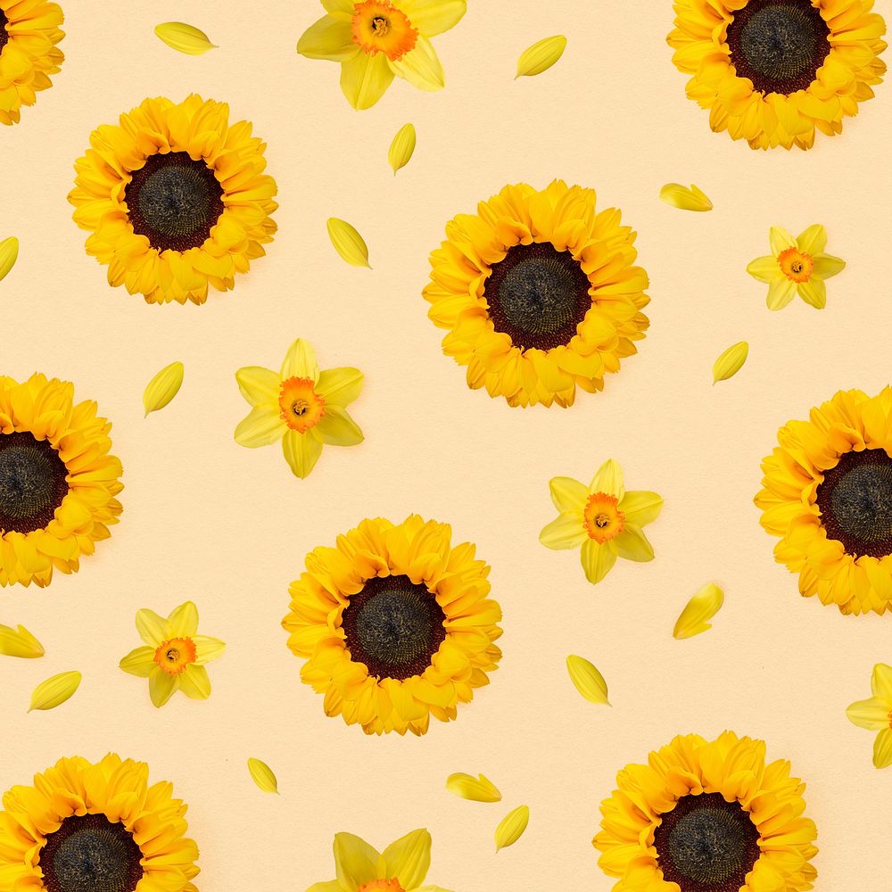 Sunflowers pattern background, botanical flower psd