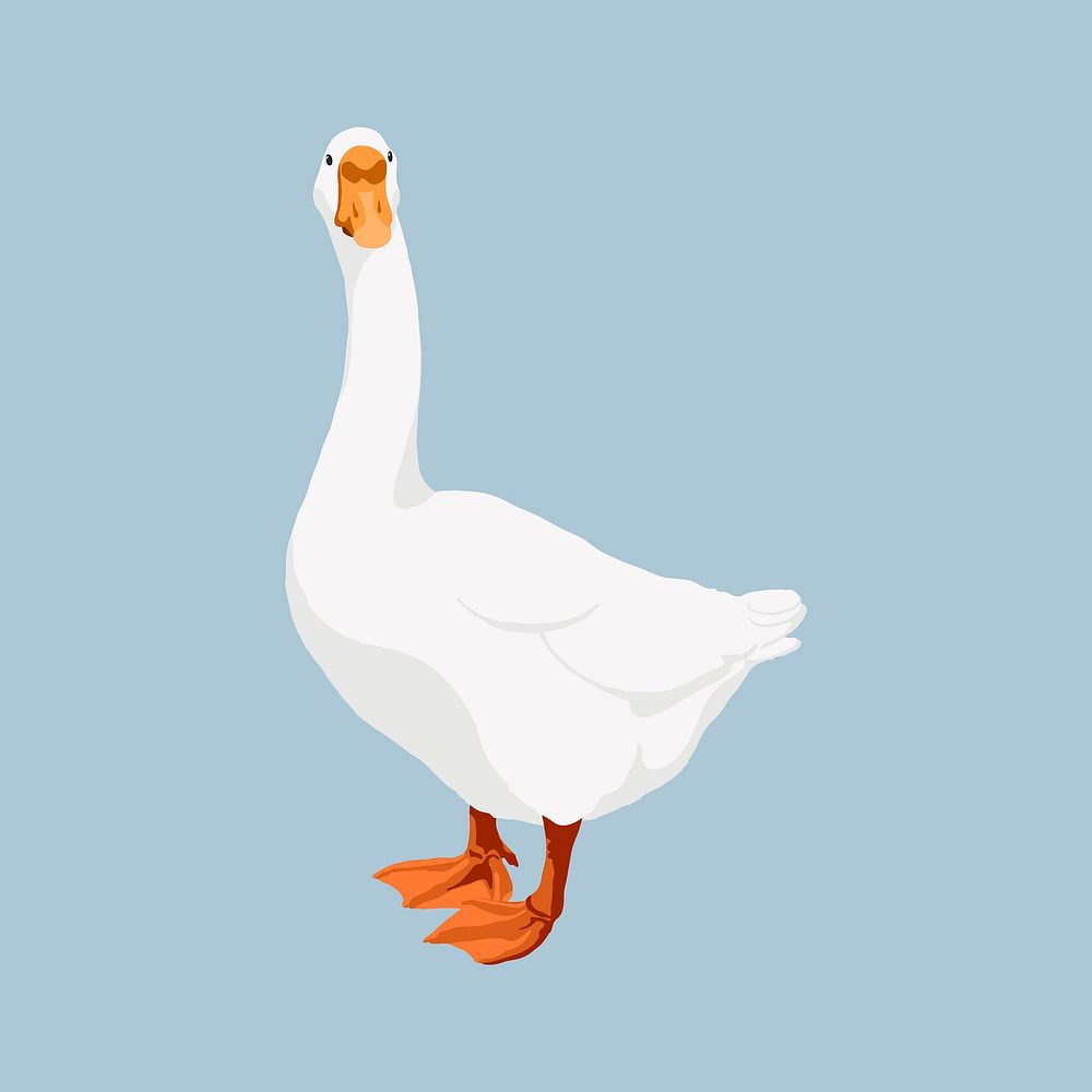 White goose, bird illustration, vectorized clipart