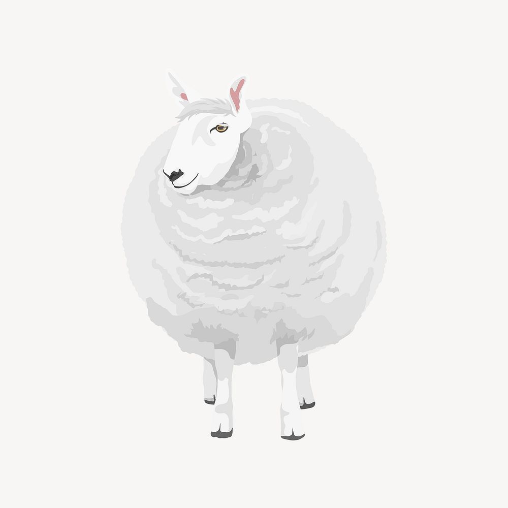 Sheep wool, animal illustration clipart, animal graphic design