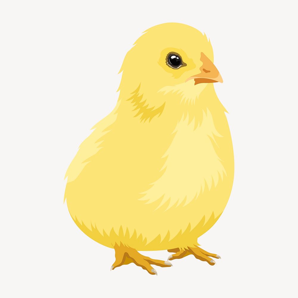 Cute baby chick illustration clipart