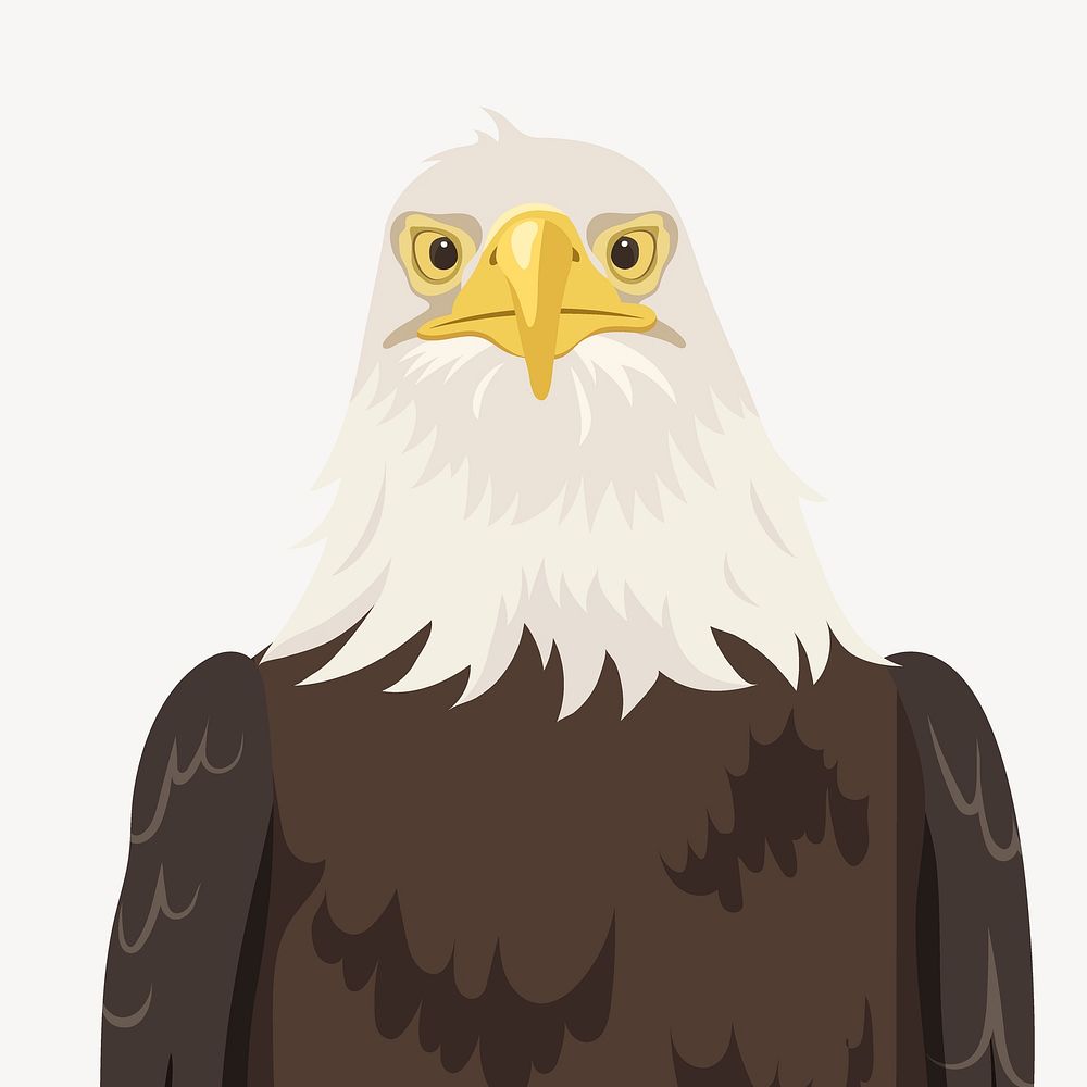 Bald eagle face illustration, bird clipart, USA symbol