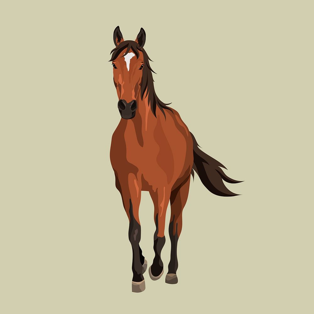 Brown horse trotting, animal illustration clipart