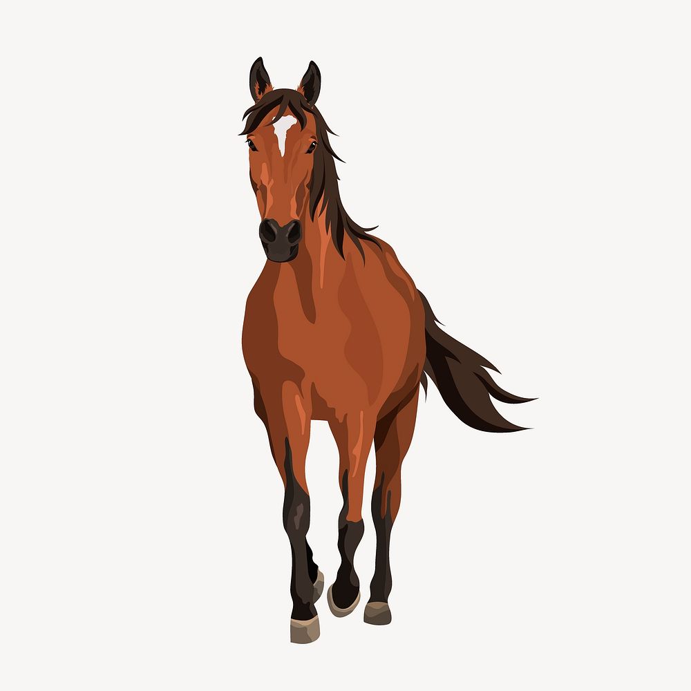 Brown horse trotting, animal illustration, realistic clipart